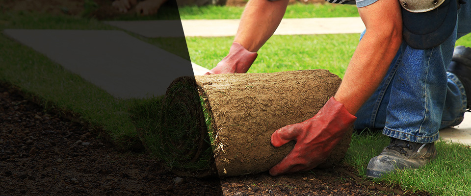 Little Ferry Landscapers